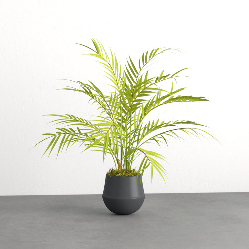 Bay Isle Home 19" Artificial Floor Palm Plant in Pot & Reviews Wayfair